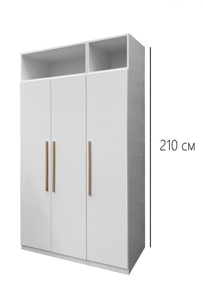 Распашной шкаф Блокс 210 см